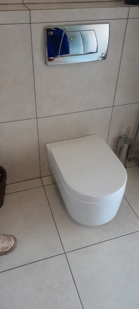 Wall-hung toilet below a concealed cistern flush plate