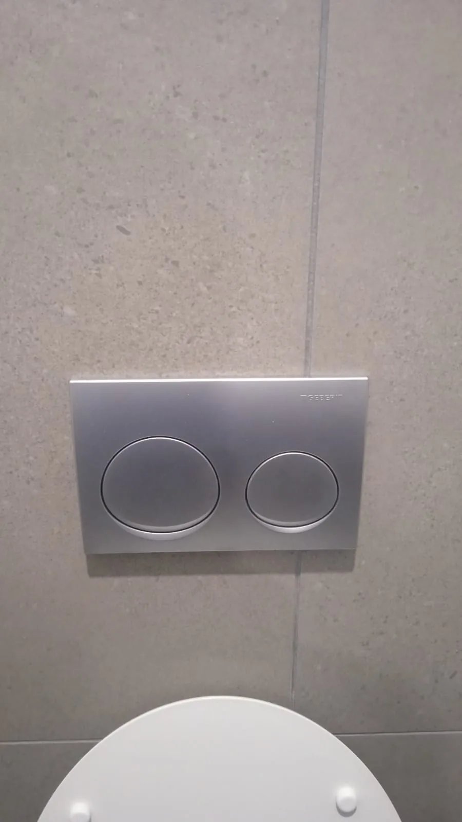 Dual-flush toilet flush plate mounted above toilet pan