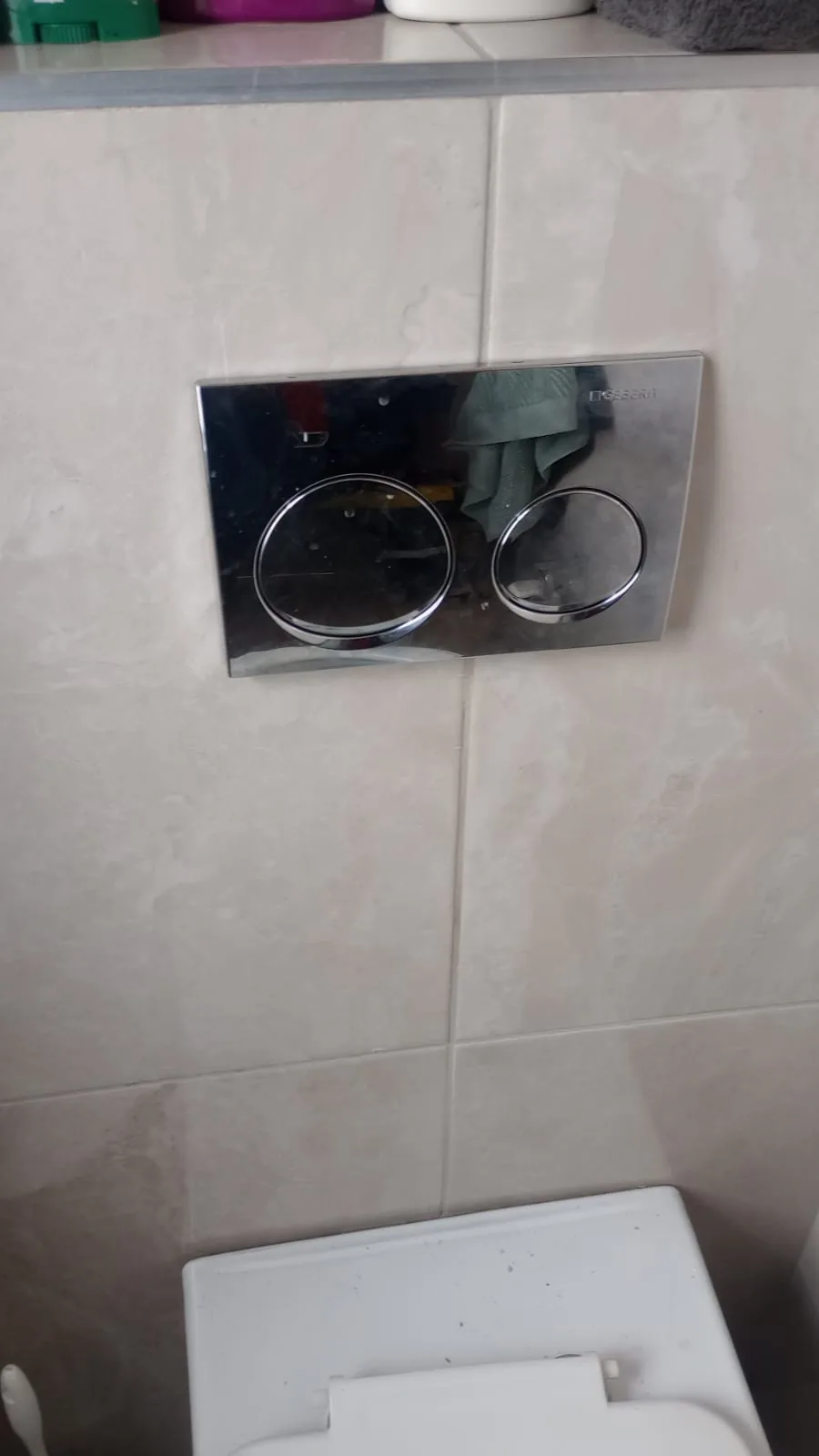 Geberit dual-flush plate mounted above toilet cistern