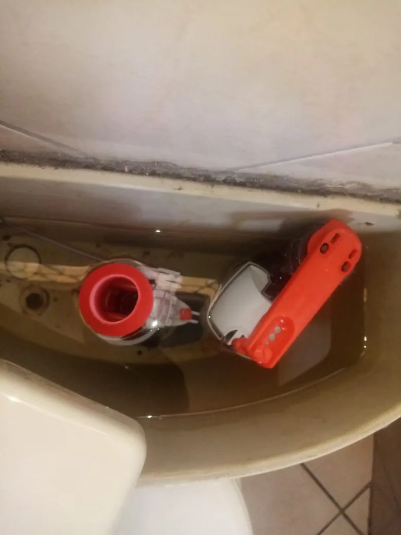 Open toilet cistern showing red and white flush mechanism