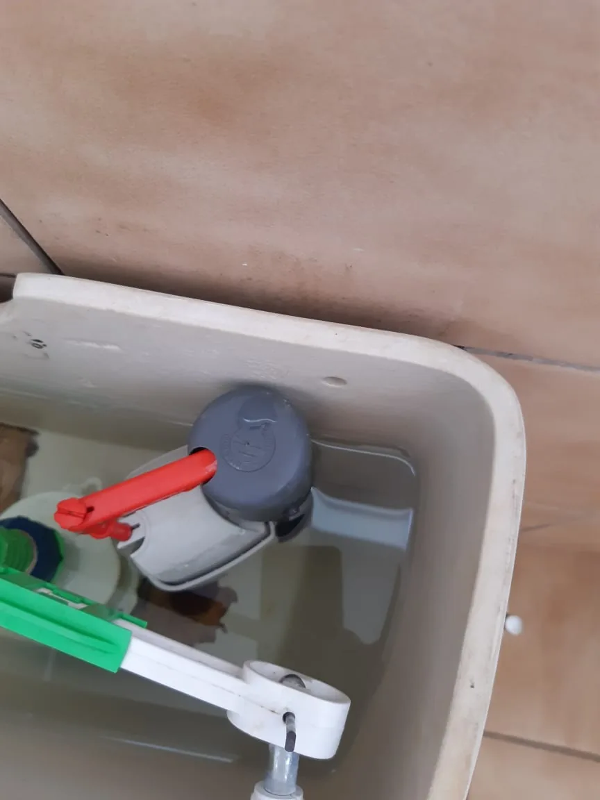 Open toilet cistern showing inlet valve and flush mechanism