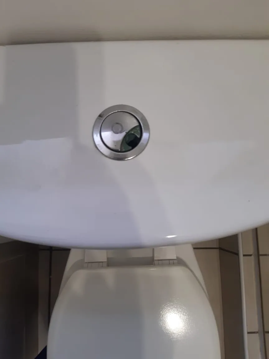 Toilet cistern push button on white ceramic cistern lid
