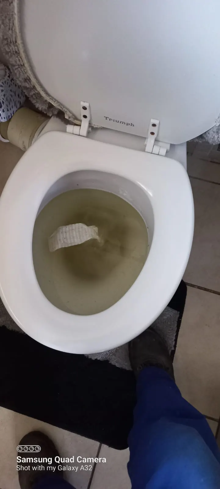 Toilet bowl holding dirty standing water before repair