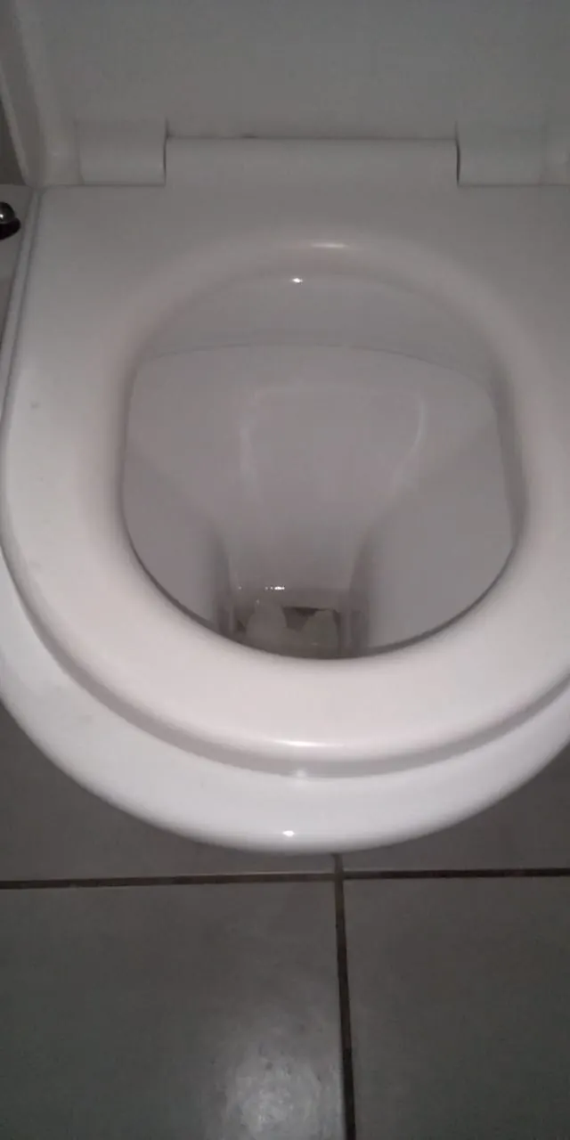 Clean toilet bowl checked after emergency toilet repair