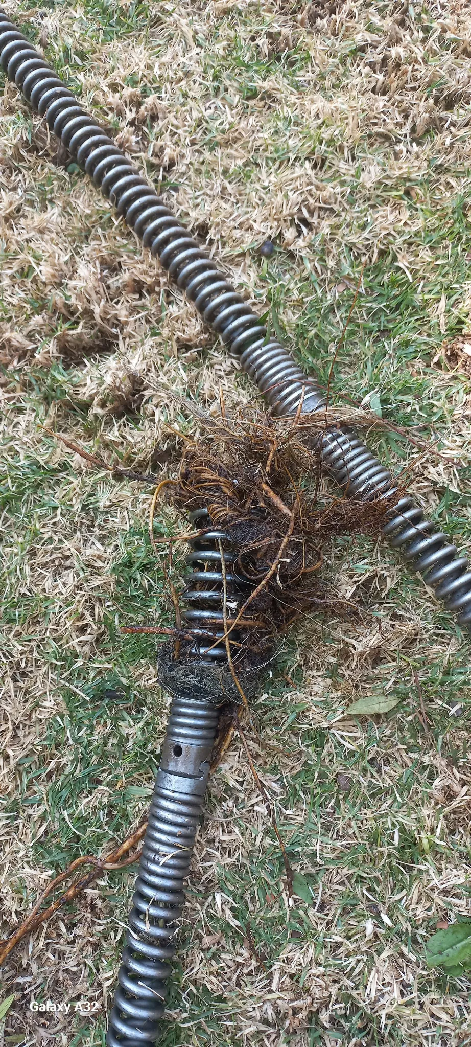 Drain cleaning cable on grass with roots and debris wrapped around the cutting head