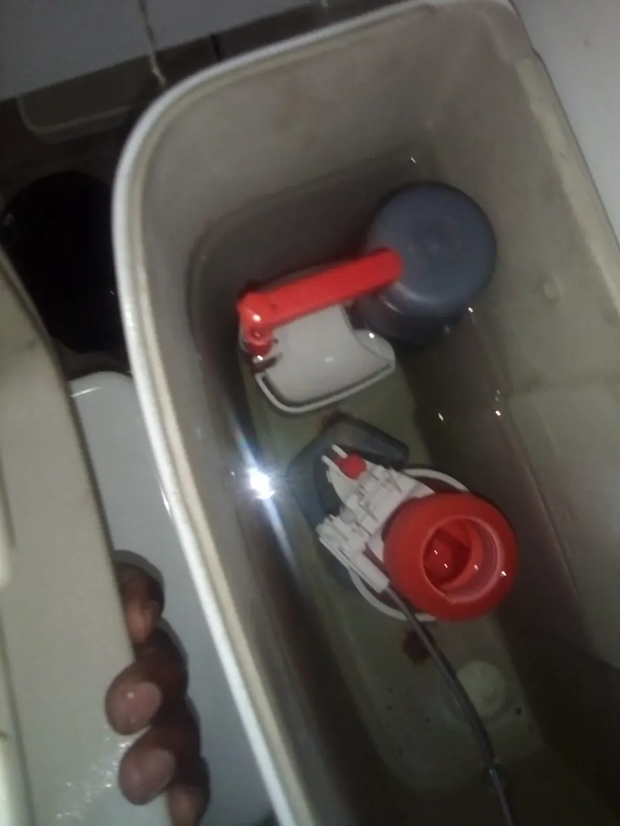 Broken toilet cistern handle removed during repair