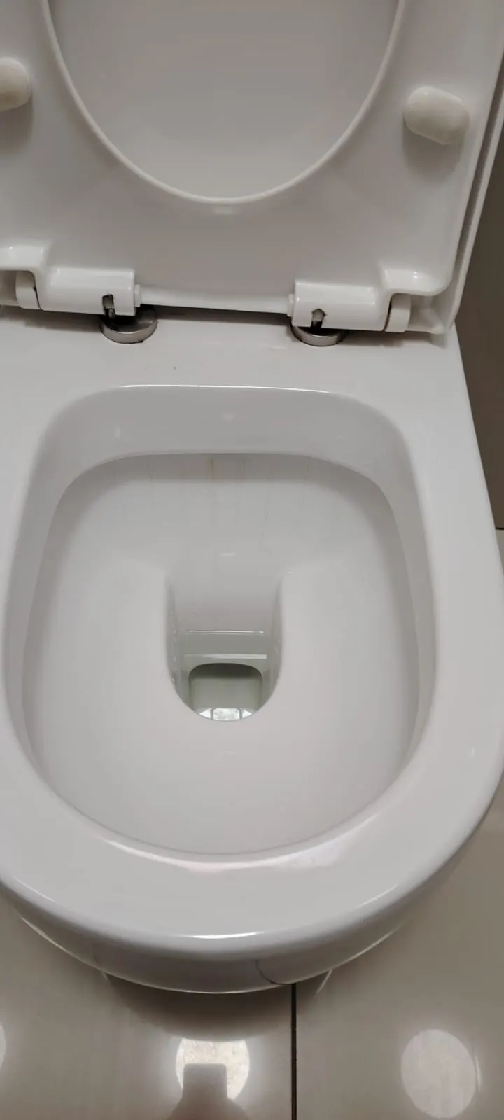 Clean toilet pan after maintenance check to prevent future emergencies