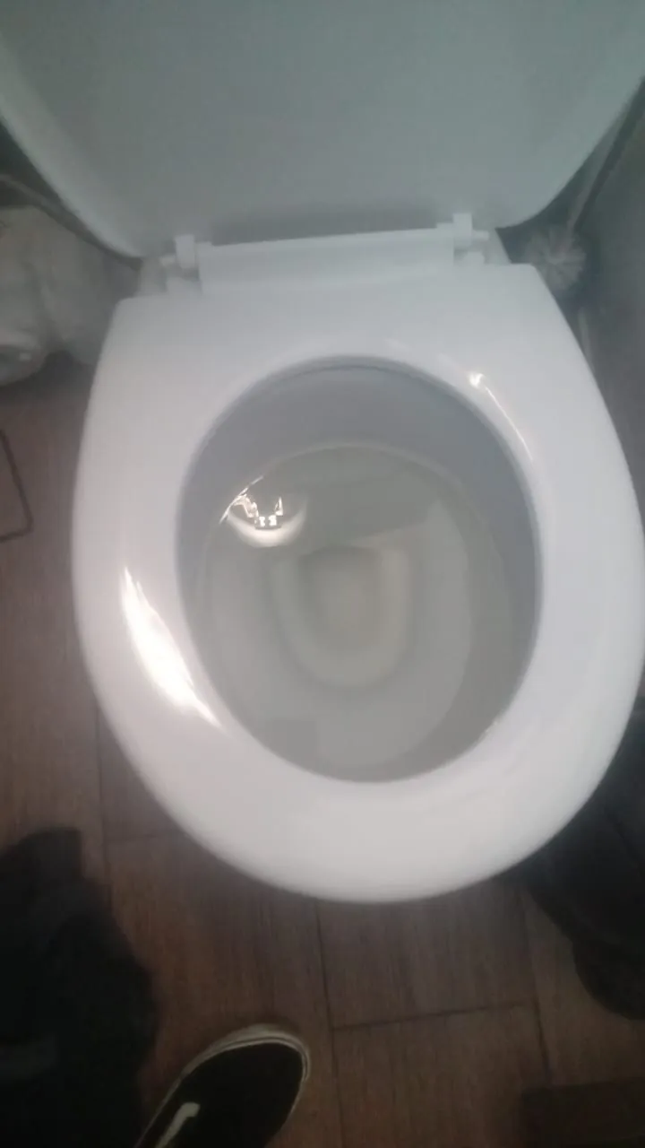 Toilet bowl with water level checked during blocked toilet inspection