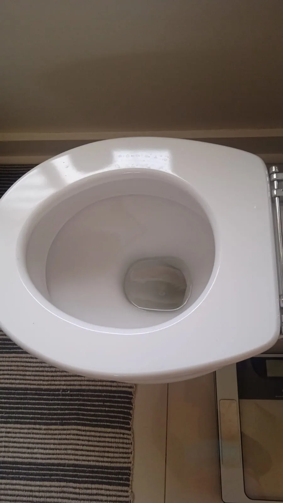 Close-up of toilet seat hinges and toilet pan checked during repair