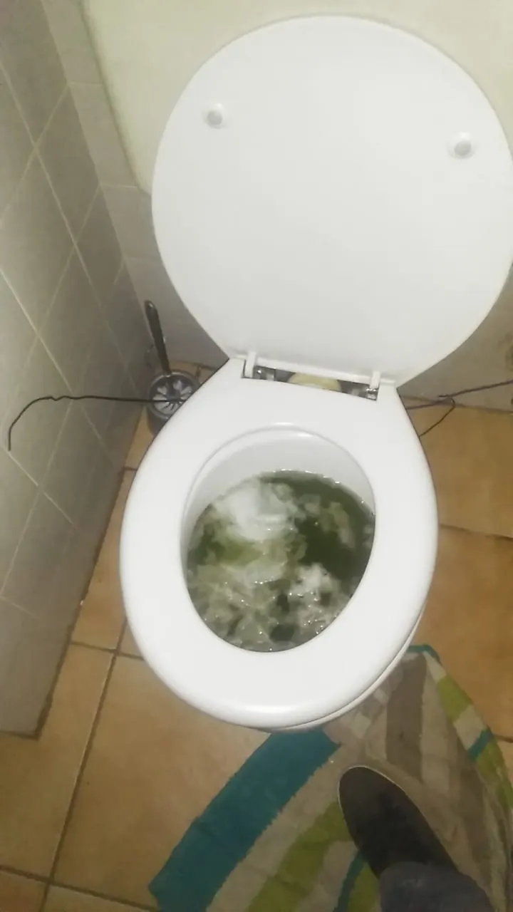 Toilet bowl with wastewater movement during blockage check