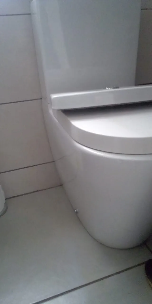 Toilet cistern and pan checked for repair faults