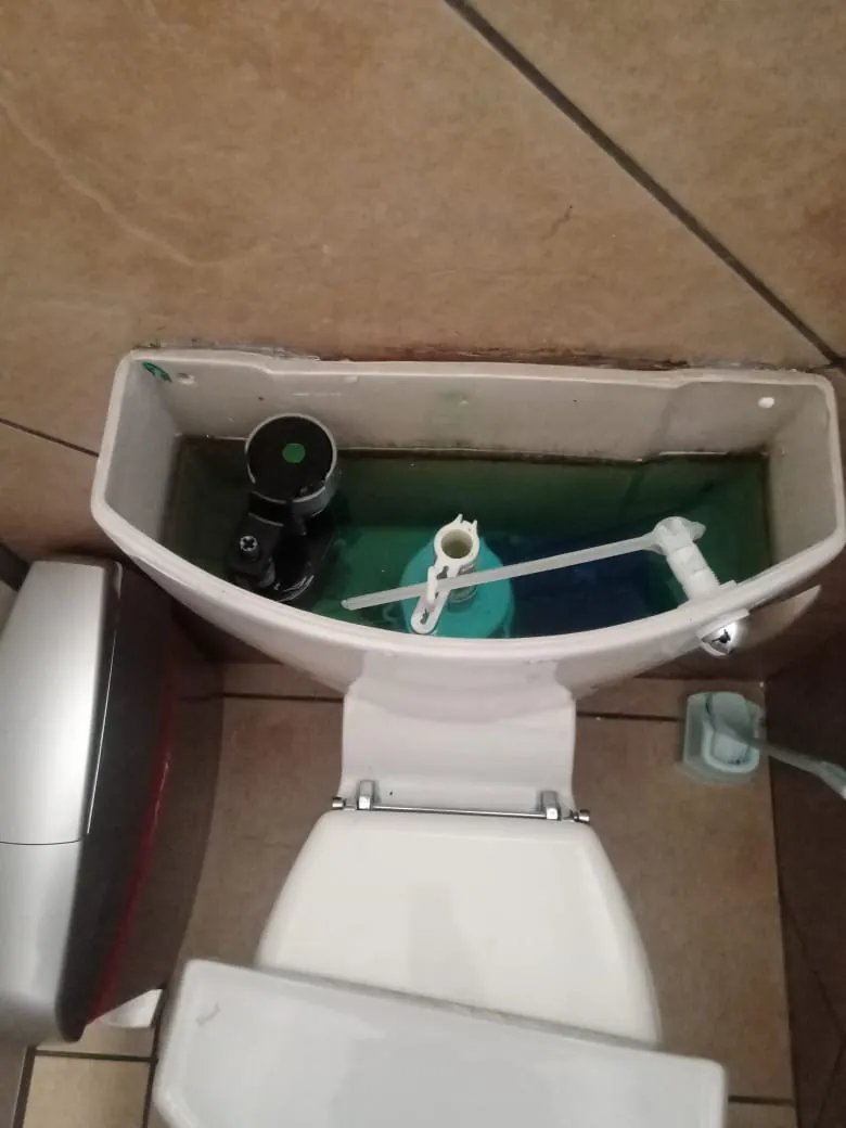 Toilet bowl checked for signs of slow drainage and return faults