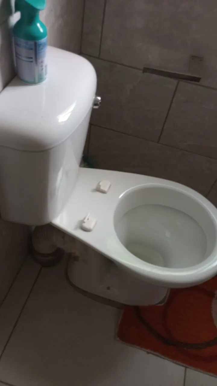 Toilet pan and cistern inspected for emergency repair