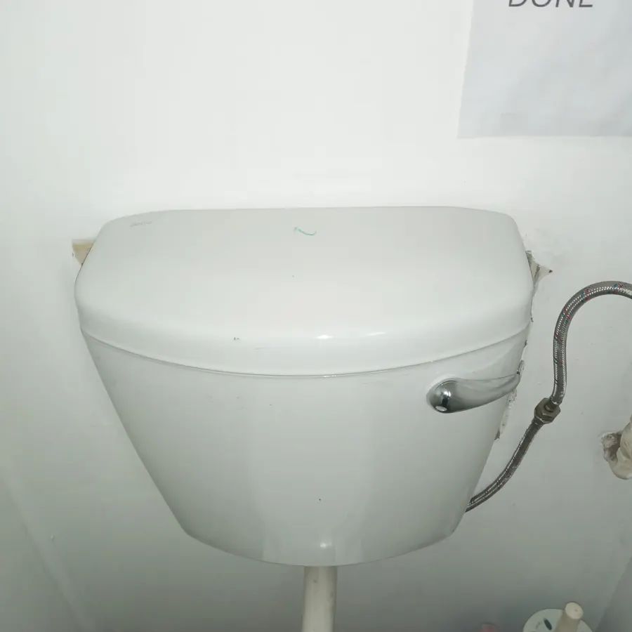 Side of toilet inspected around base and cistern