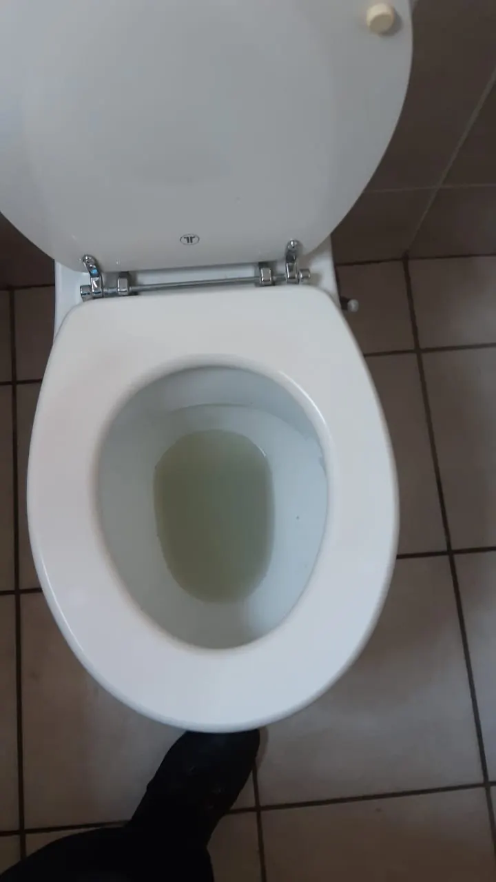 Toilet bowl water level checked after repair