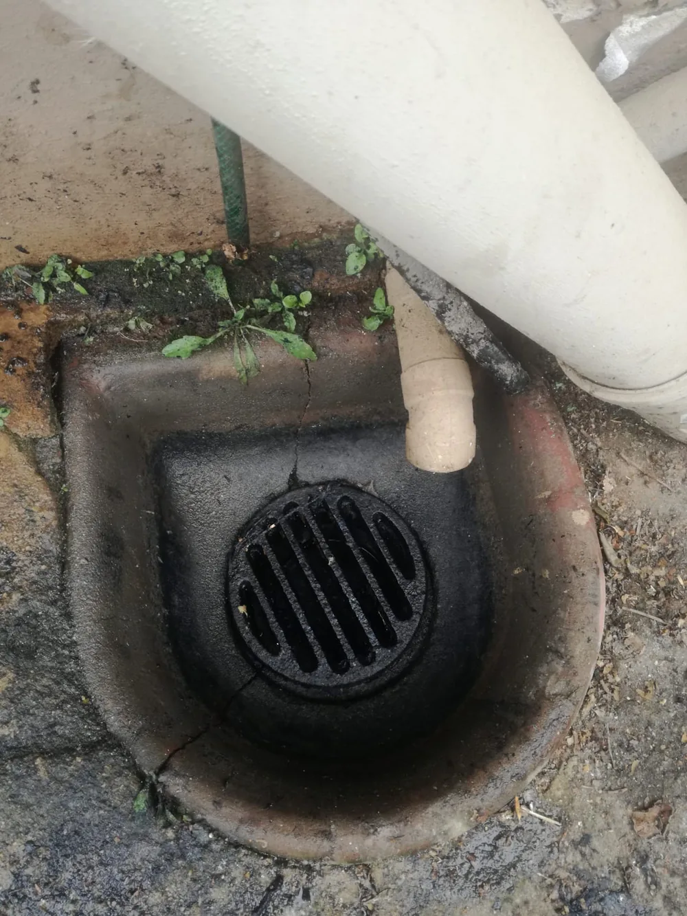 Outside gully and drain grate showing maintenance access for preventing future blockages