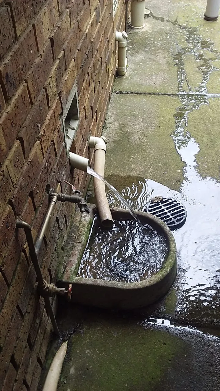 Plumber checking an outside drain gully while diagnosing a blocked drain