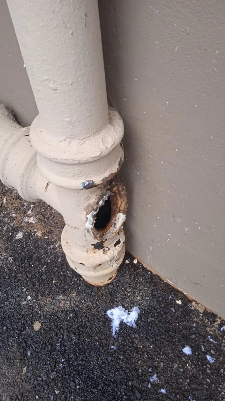 Rusted sewer pipe repair by a Zanberg plumber