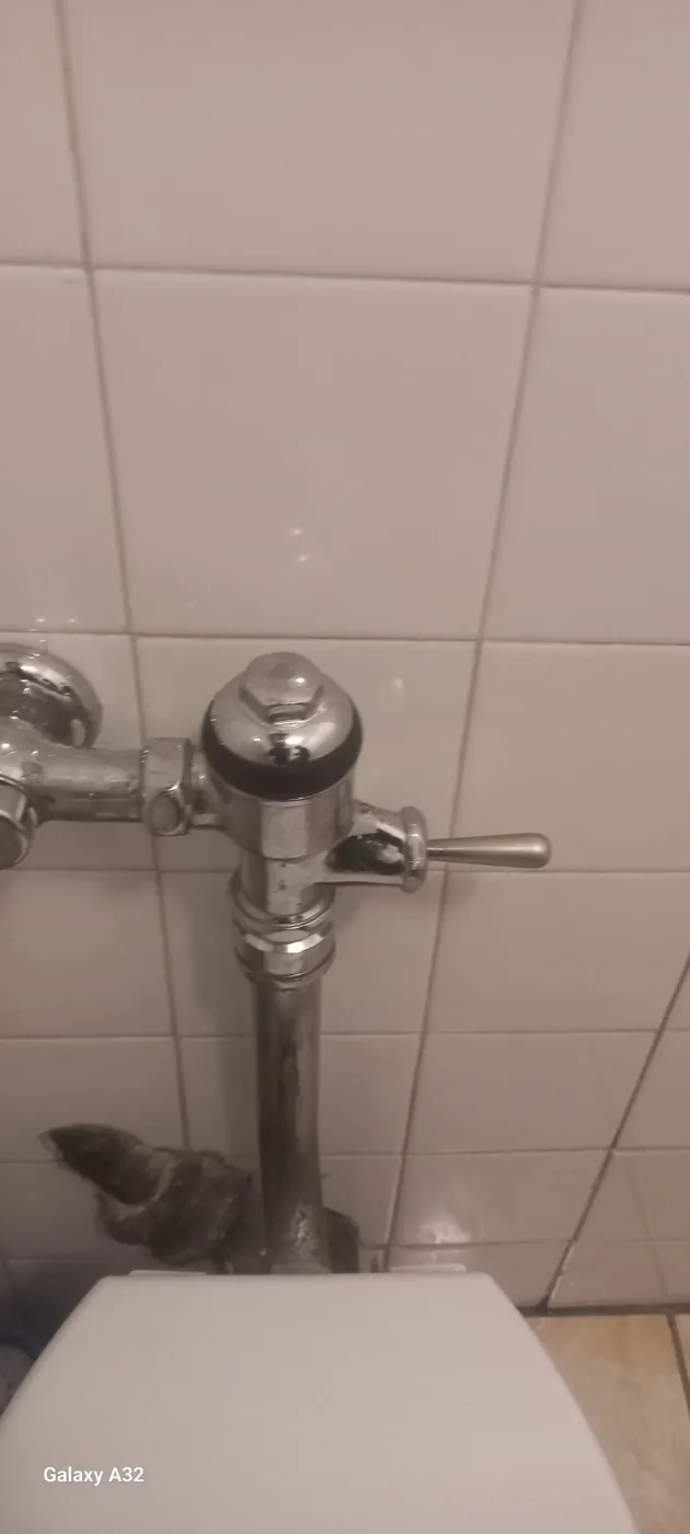 Toilet flush valve repair by a Zanberg plumber