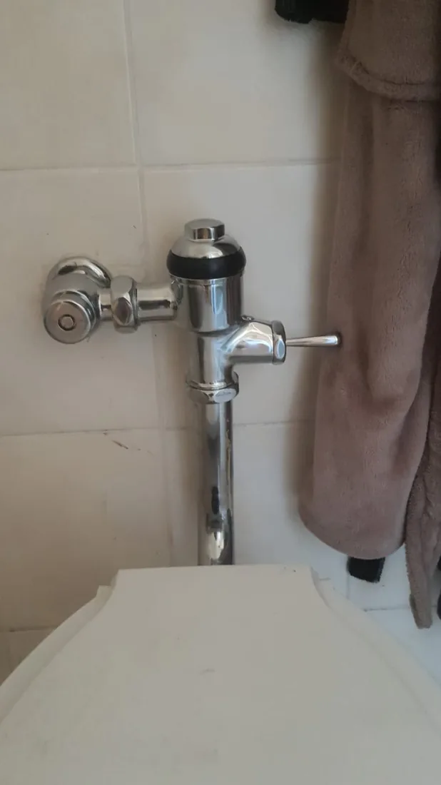 Chrome flush valve toilet repair by a Zeekoevlei plumber