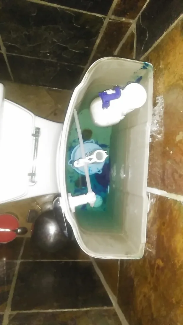 Open toilet cistern repair showing flush mechanism and inlet valve in Zeekoevlei