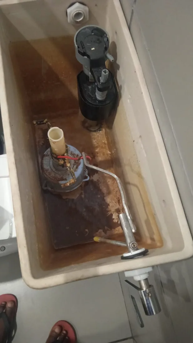 Toilet cistern mechanism replacement and flush repair in Zeekoevlei