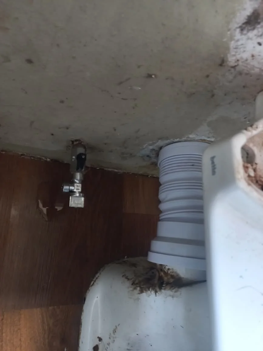 Wall angle valve and mixer connection repaired