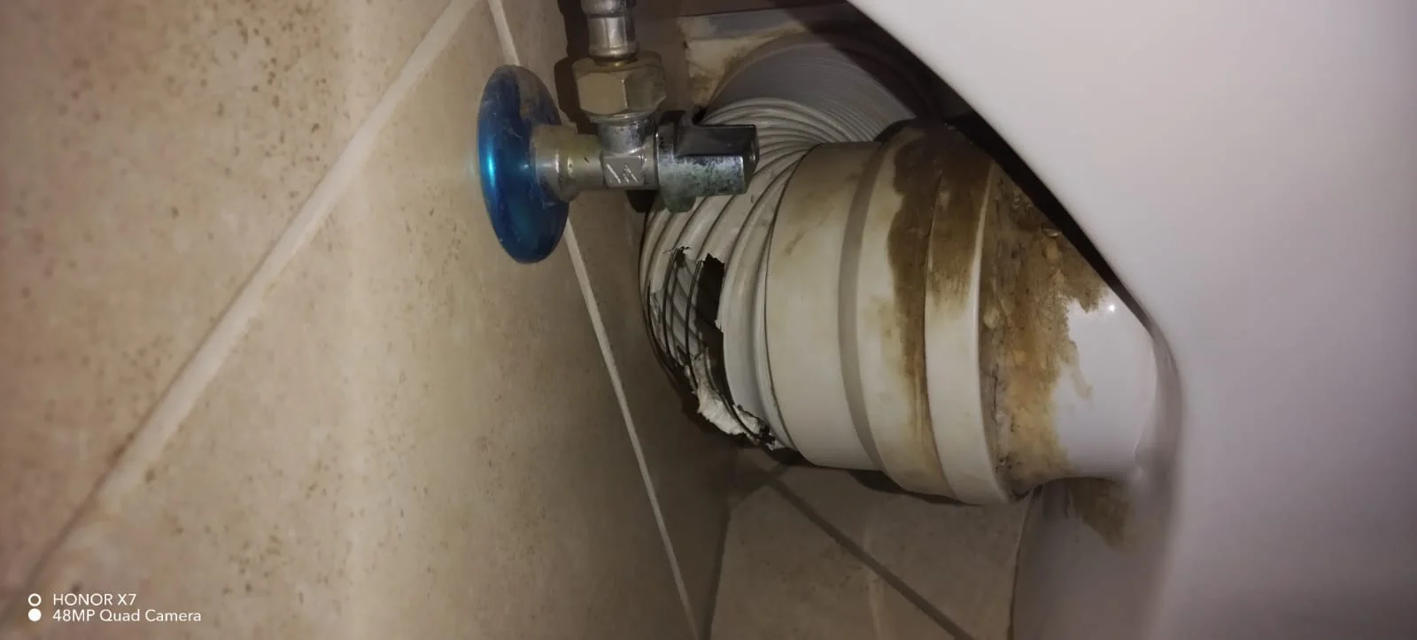 Angle Valve Replacement in Meyerspark