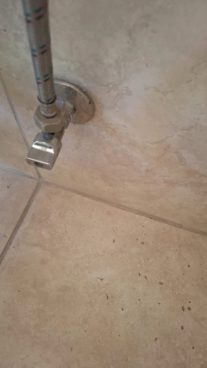 Wall angle valve and mixer connection repaired