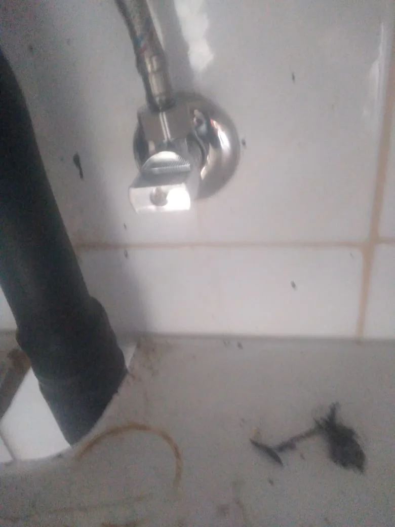 Wall angle valve and mixer connection repaired