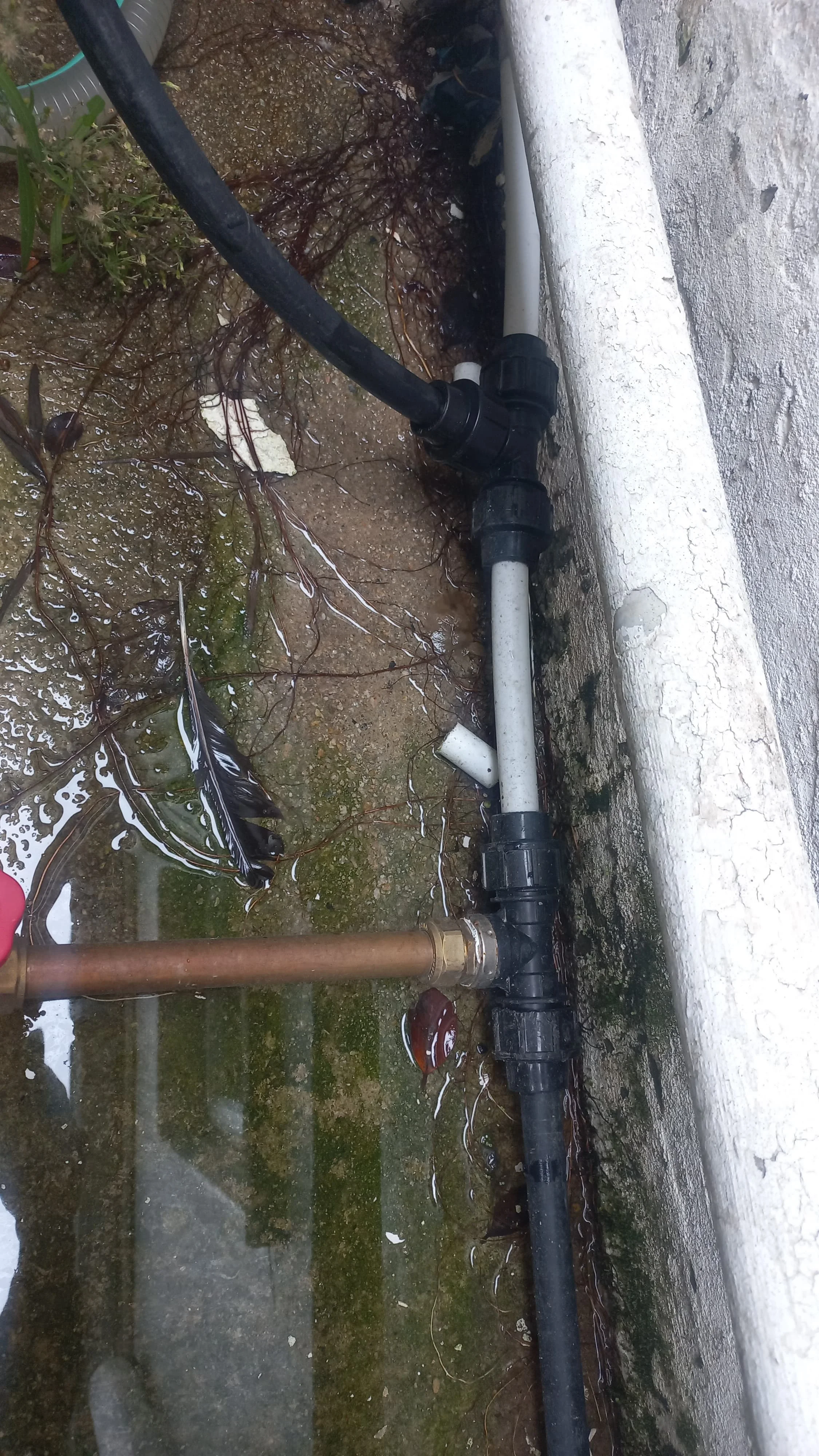 Professional burst pipe work in Alberton