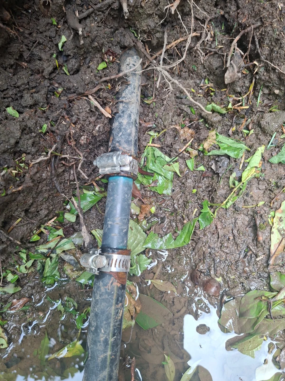 Florida burst pipe repair — professional plumbing
