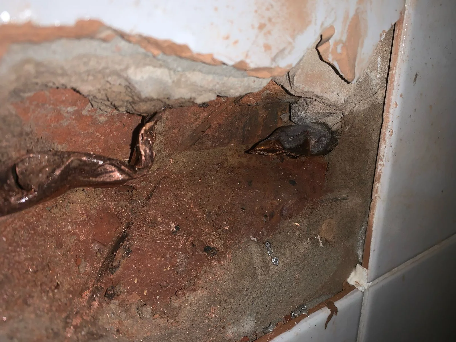 Blocked sewer pipes cleaning resolved hercules