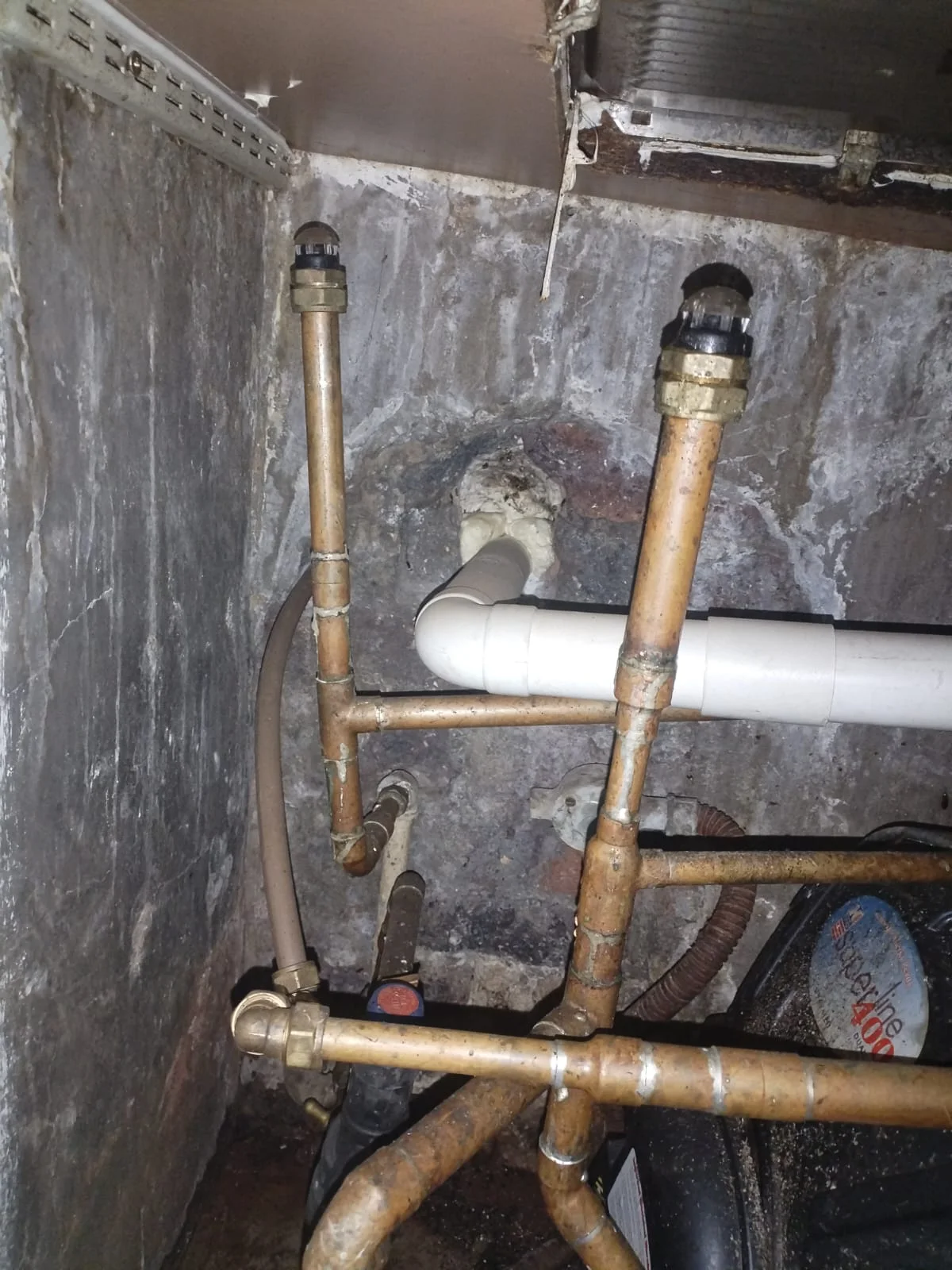 Tree roots removed from a blocked drain pipe