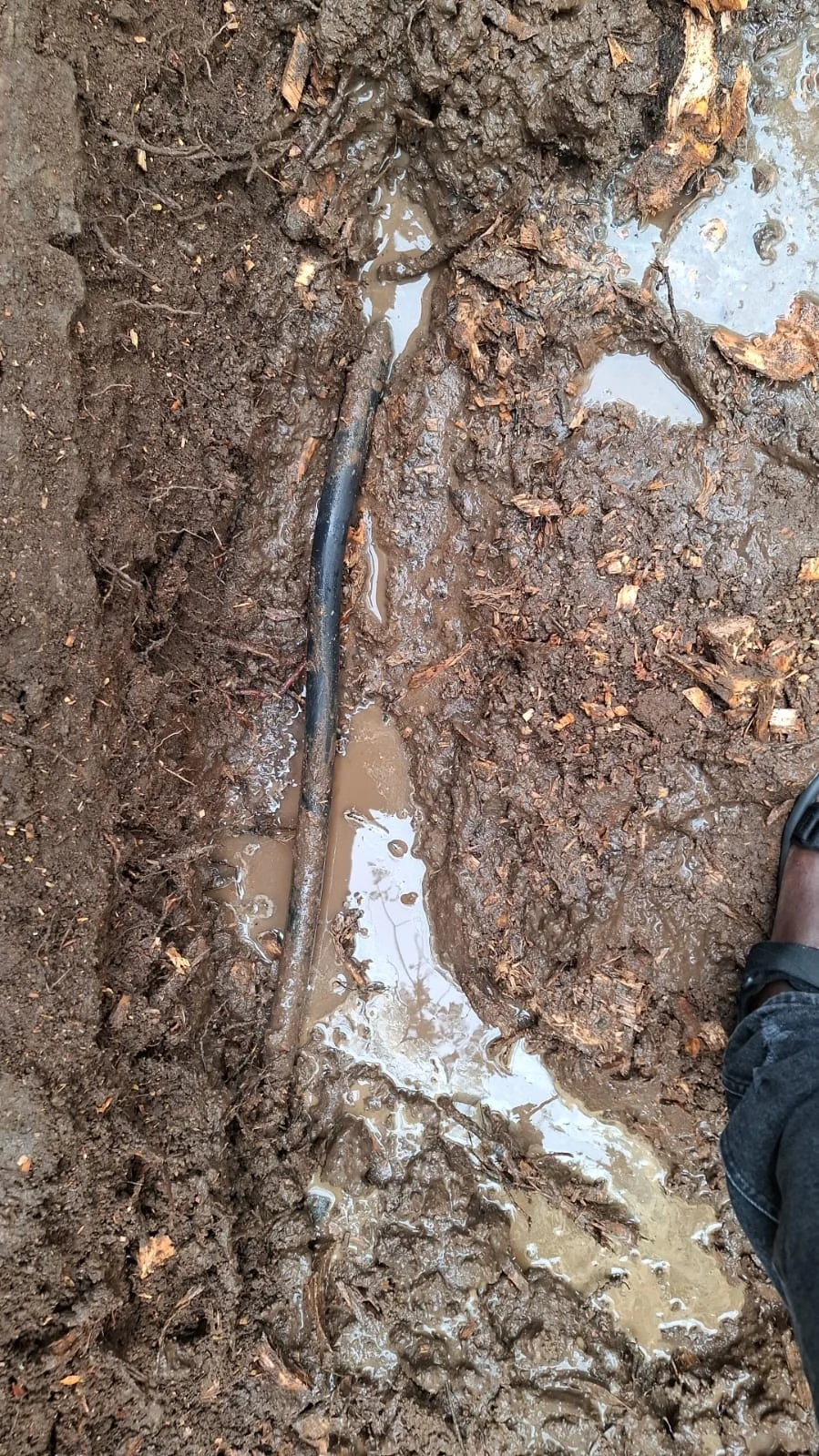 Professional burst pipe work in Sunnyside