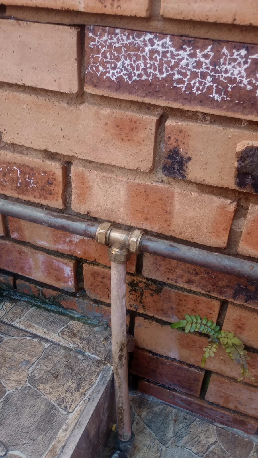 Burst Pipe Repair in Waltloo