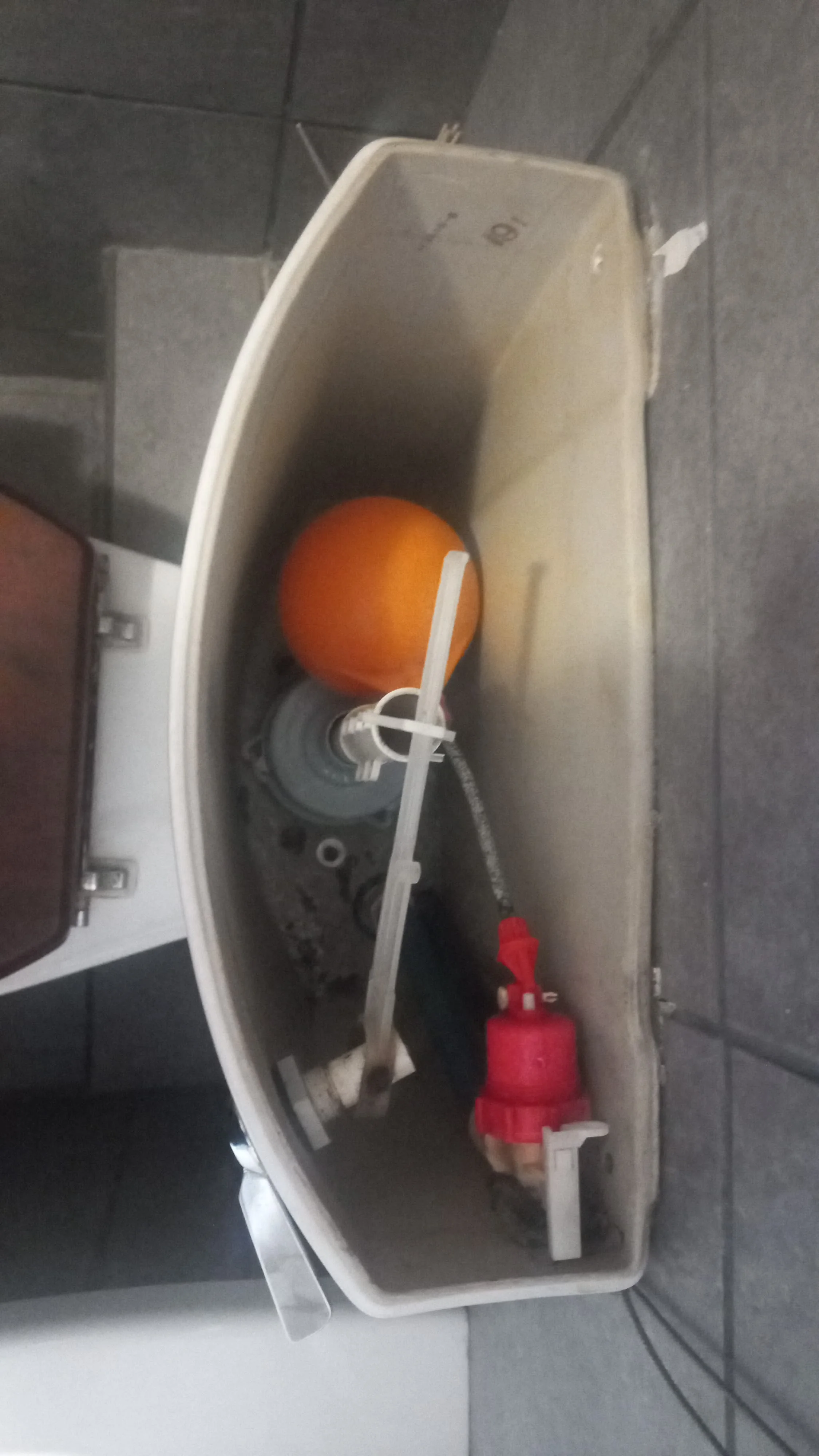 Annlin leaking toilet repair — professional plumbing