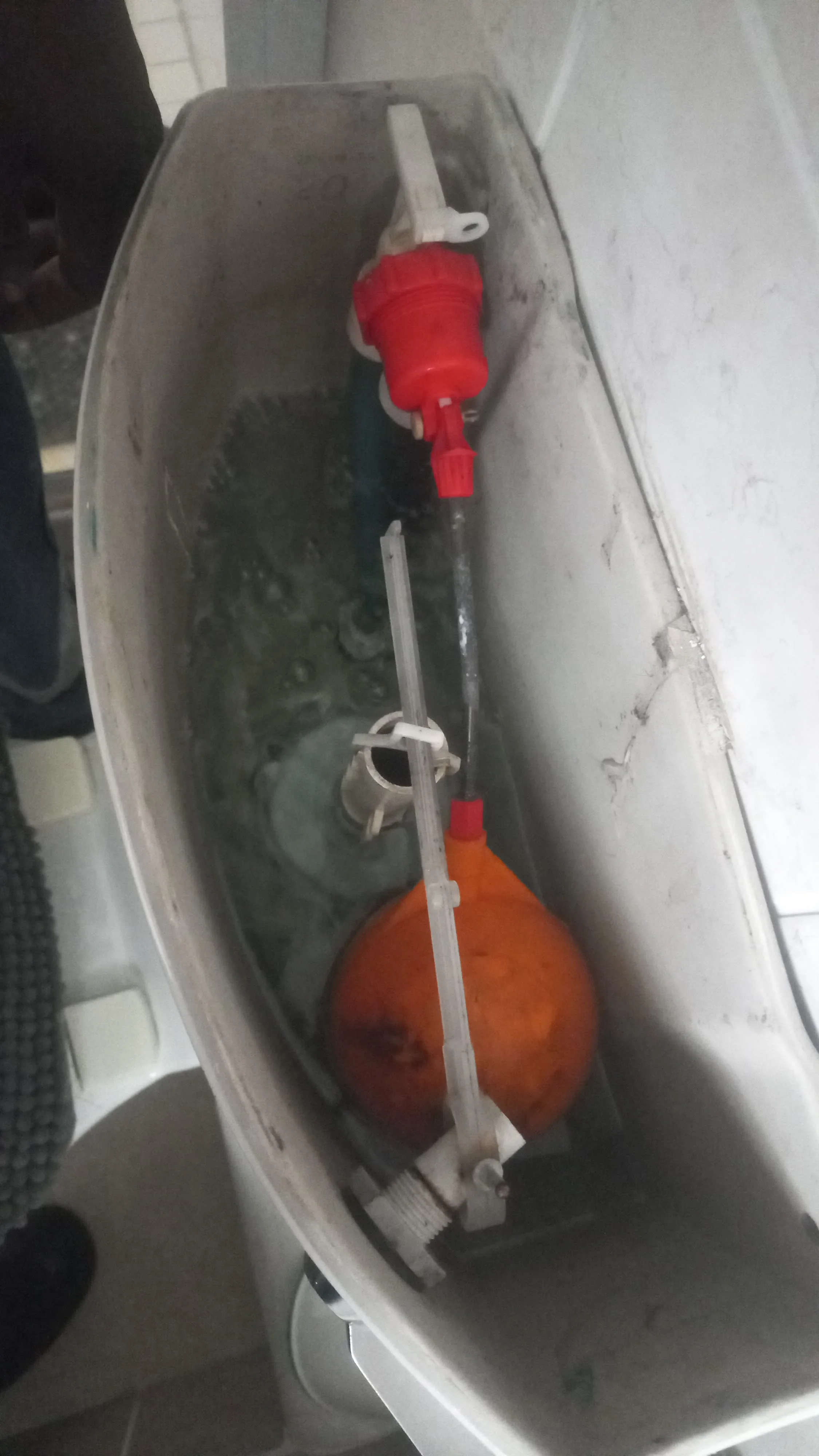 Bedworth Park leaking toilet repair — professional plumbing