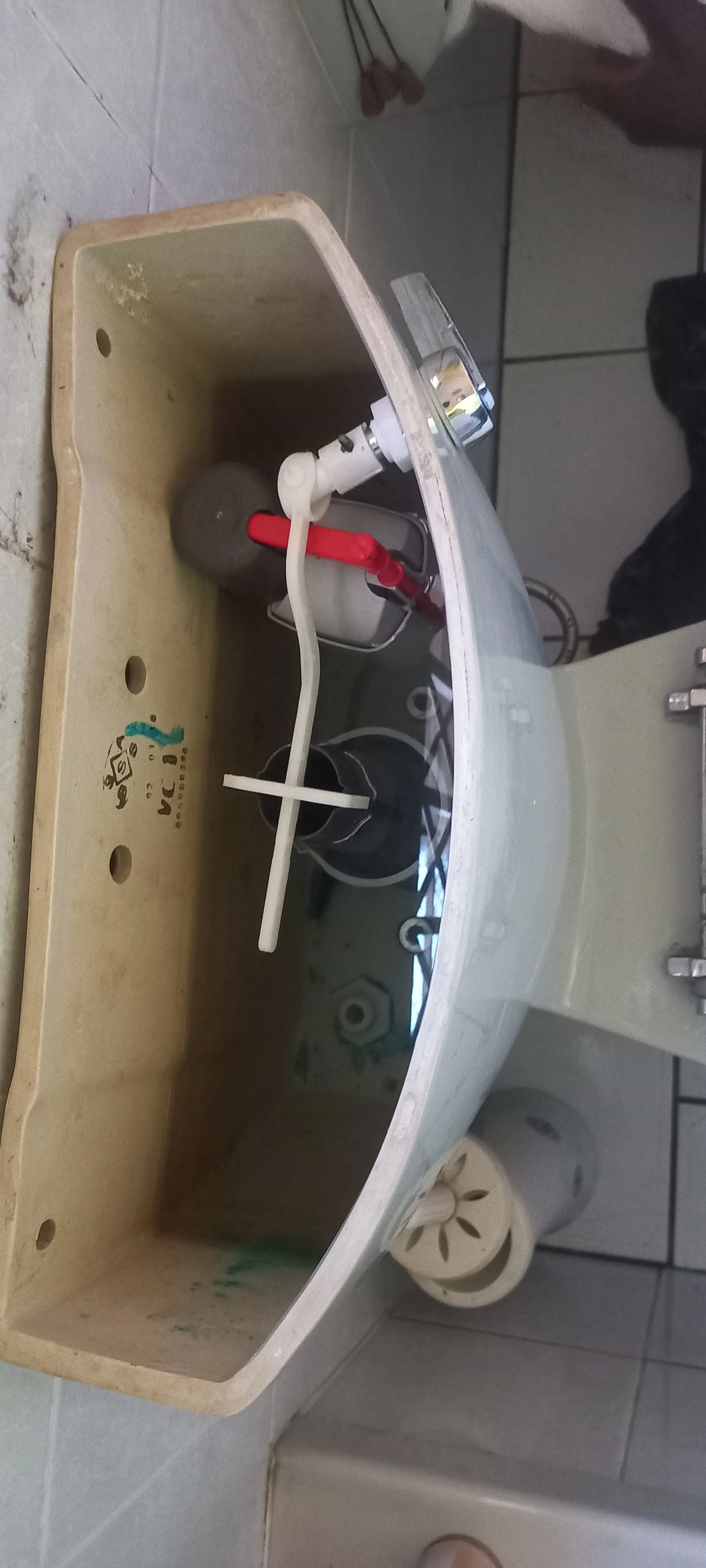 Local leaking toilet repair — professional plumbing