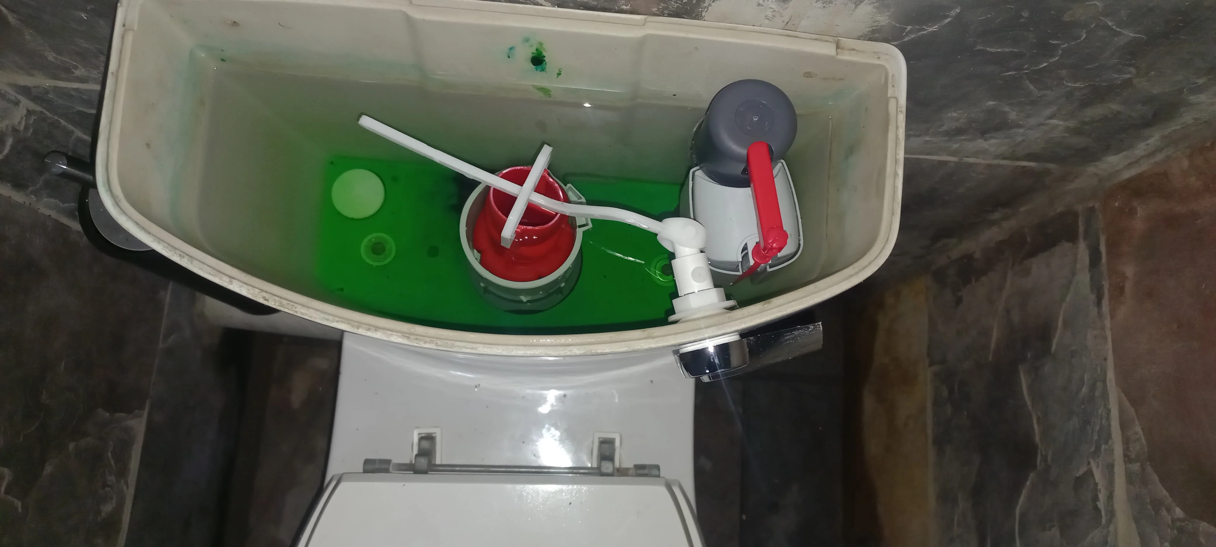 Professional leaking toilet work in Discovery