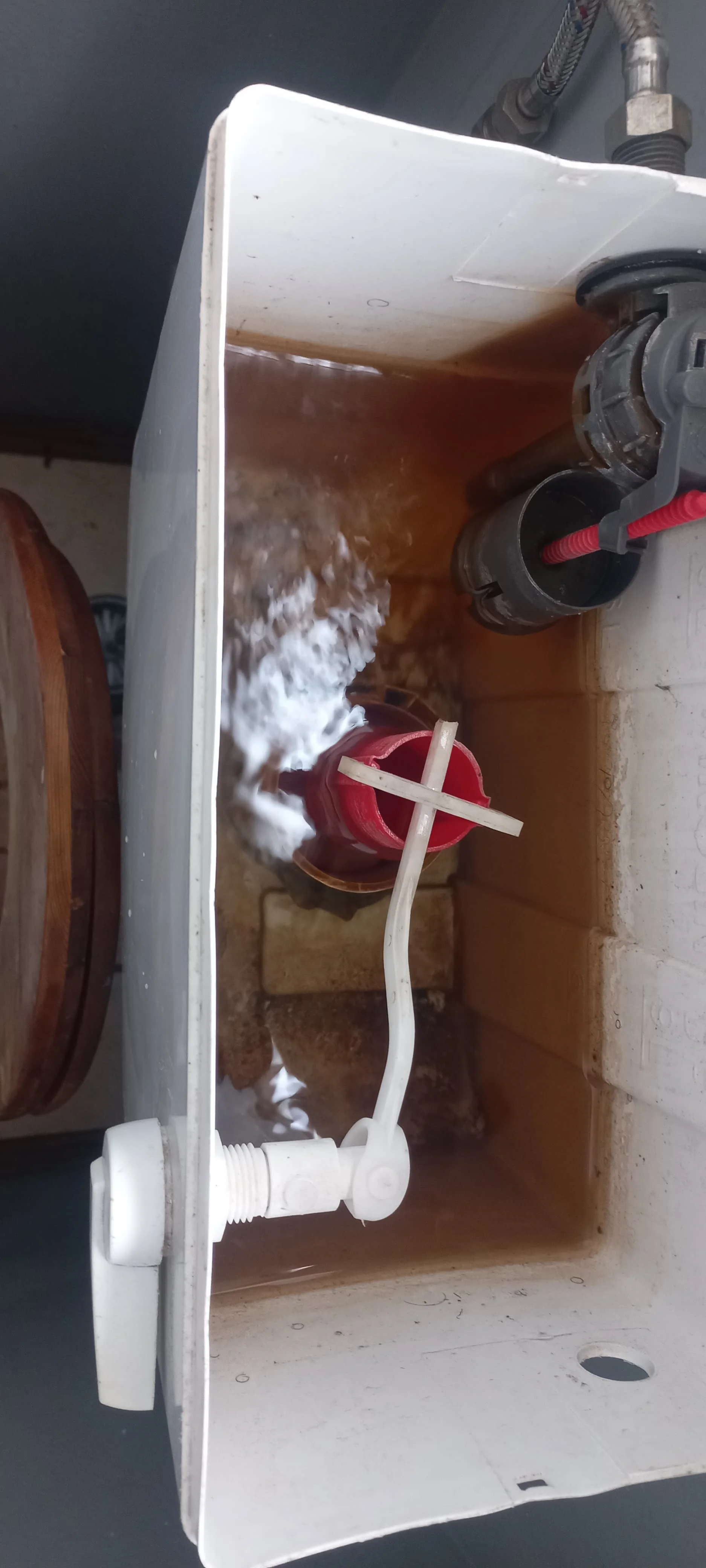 Leaking Toilet Repair in Edendale
