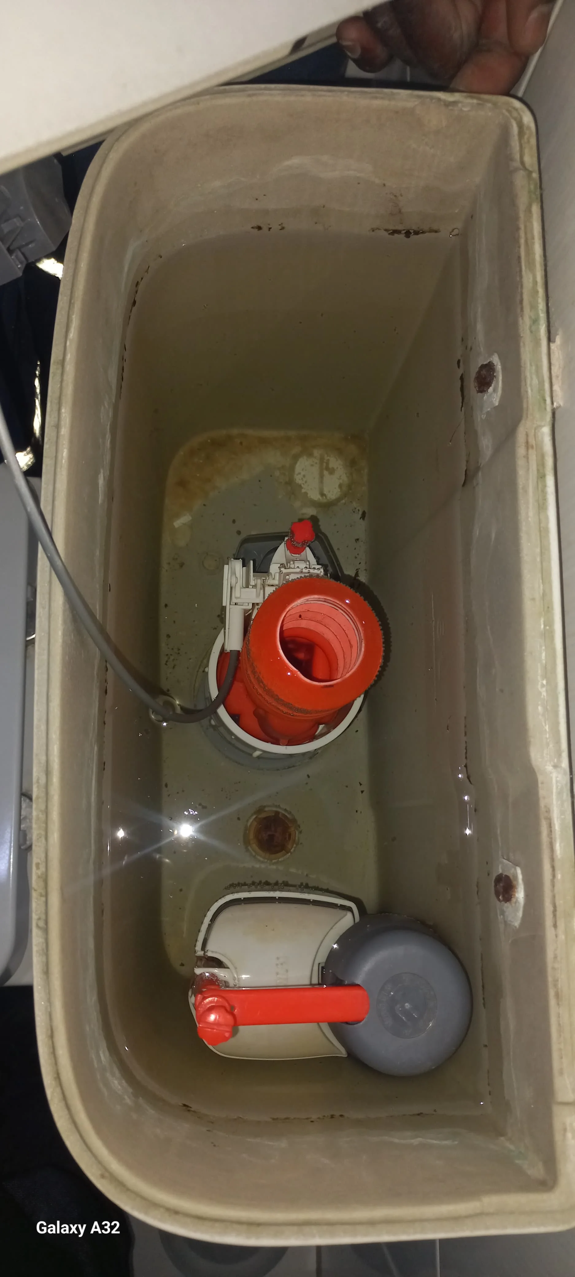 Professional leaking toilet work 