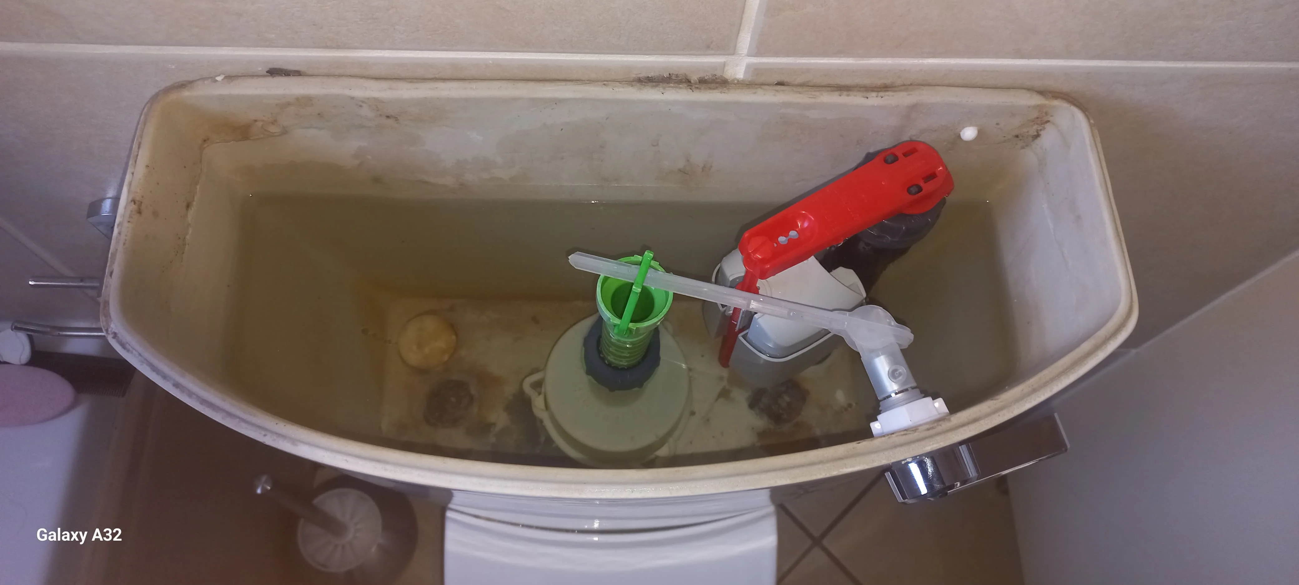 Professional leaking toilet work in Elarduspark