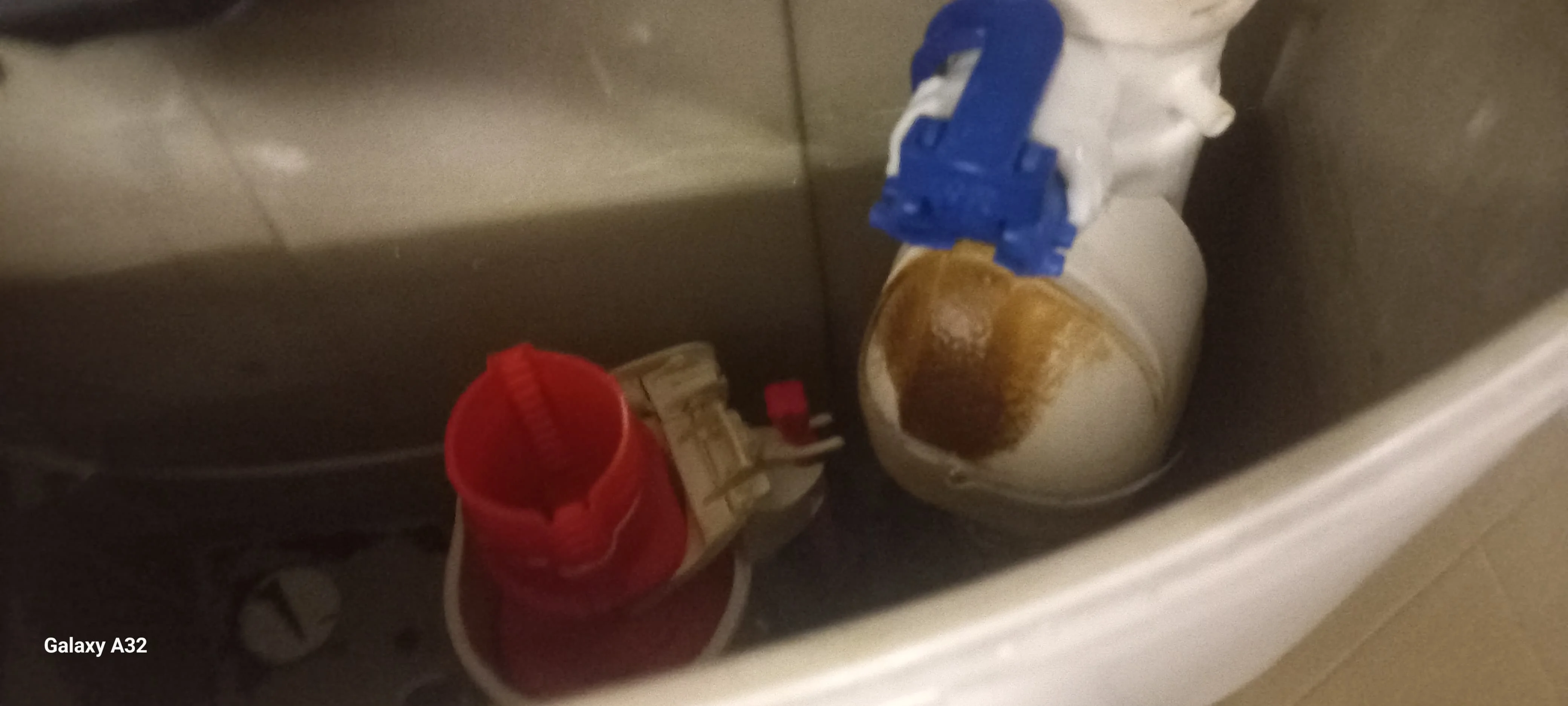 Professional leaking toilet work in Ennerdale