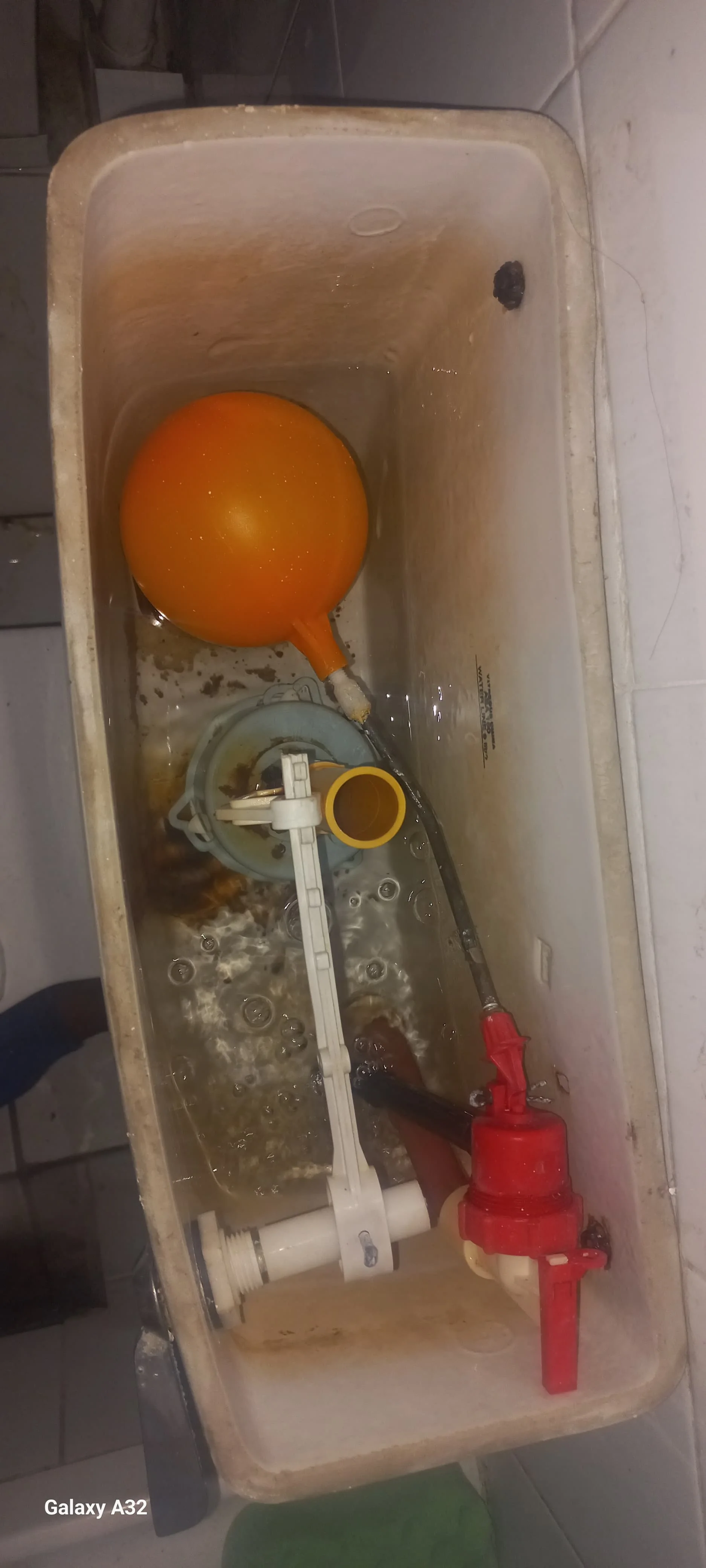 Equestria leaking toilet repair — professional plumbing