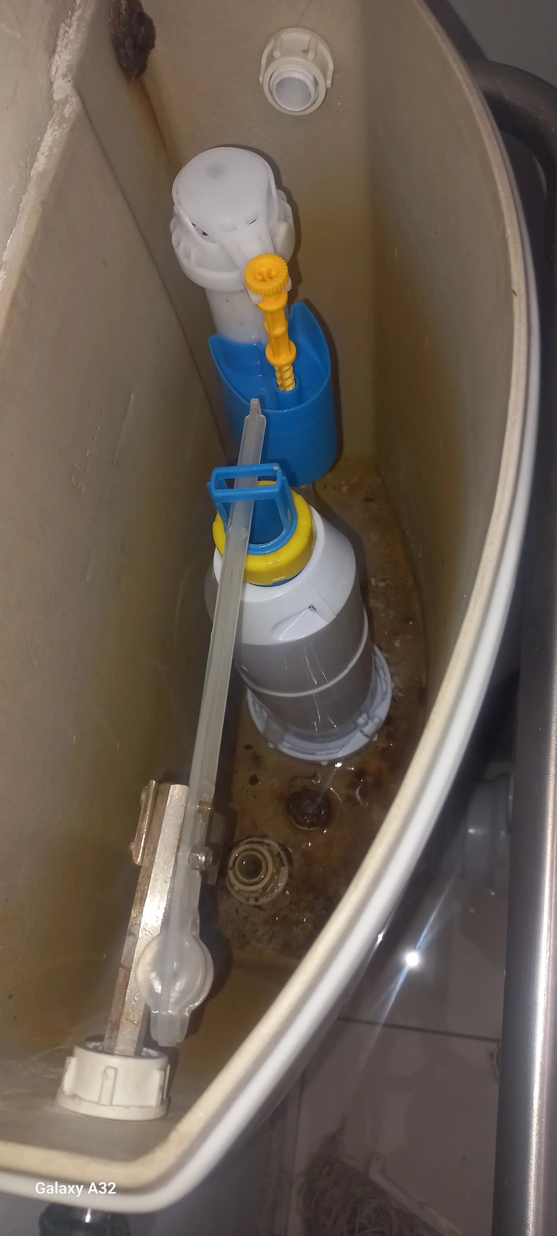 Professional leaking toilet work in Erasmia