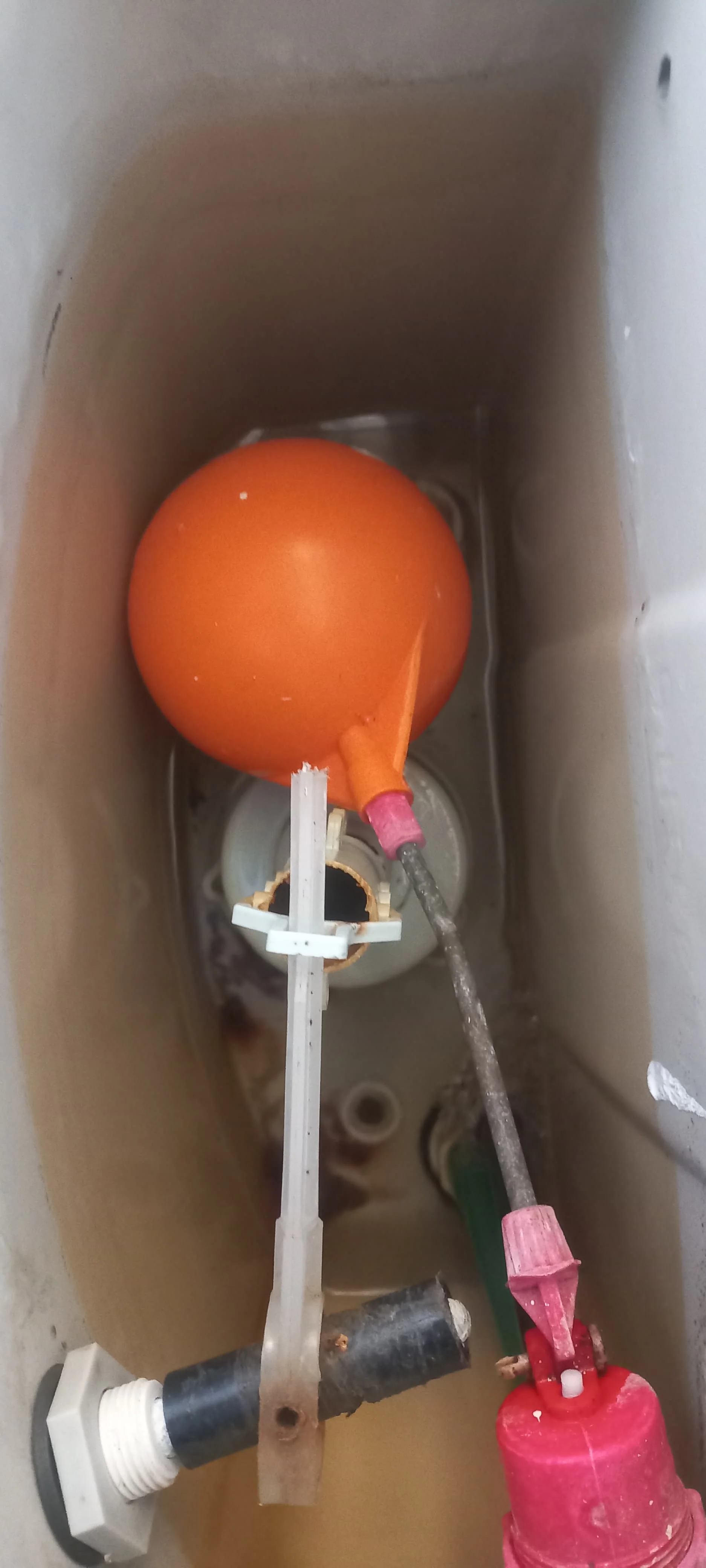 Professional leaking toilet work in Fairland
