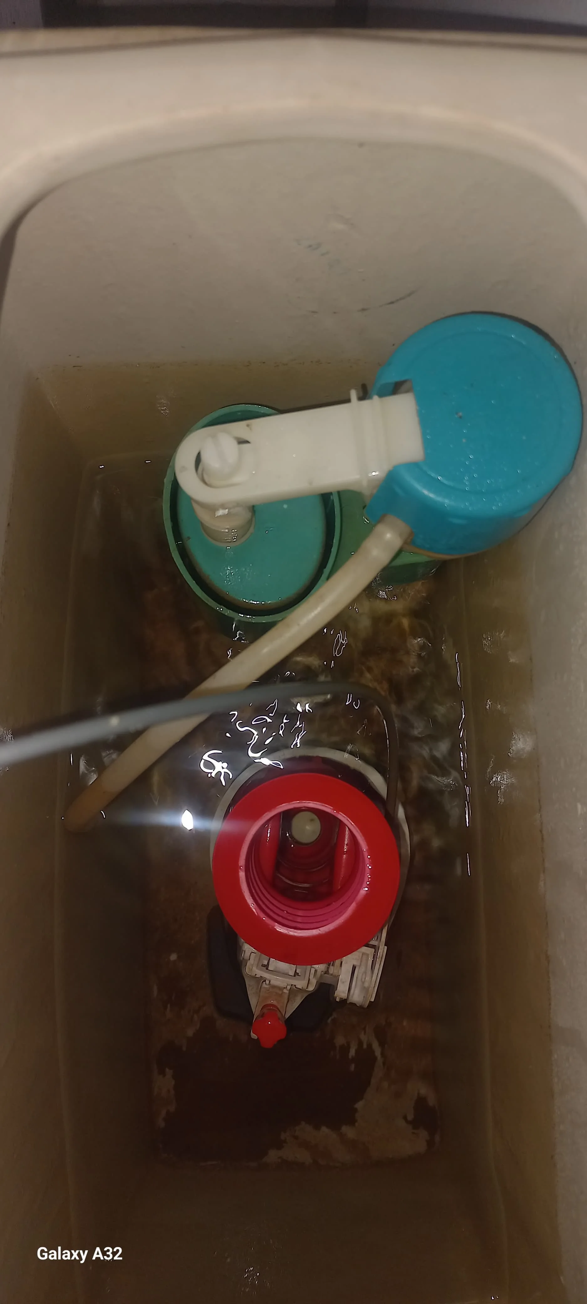 Fairlands leaking toilet repair — professional plumbing