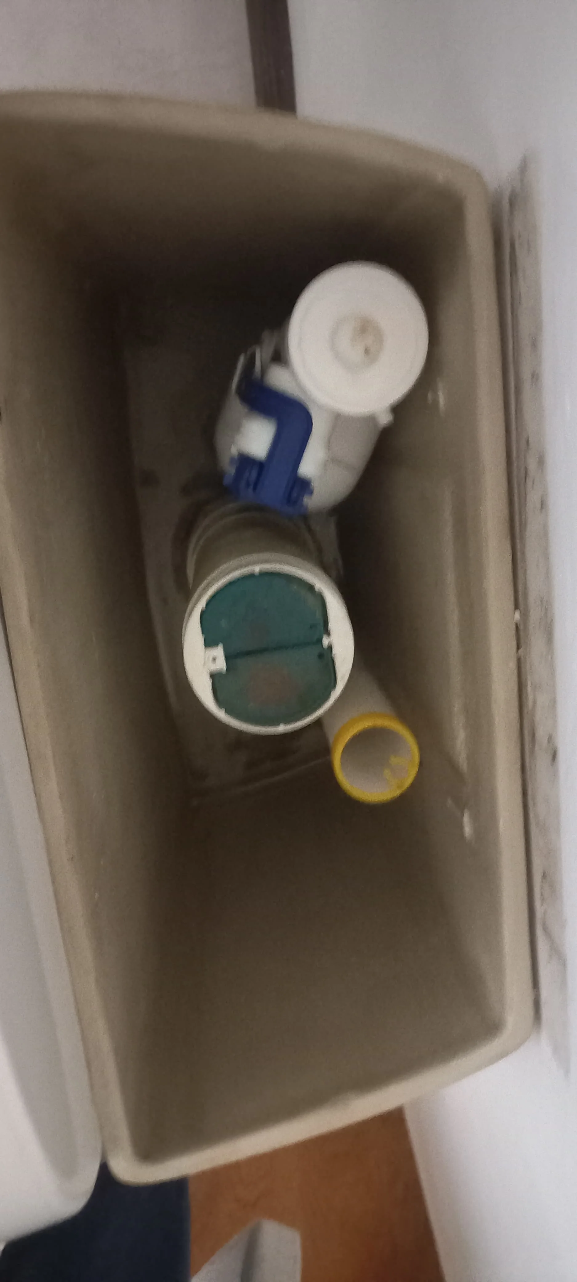 Professional leaking toilet work in Ferndale