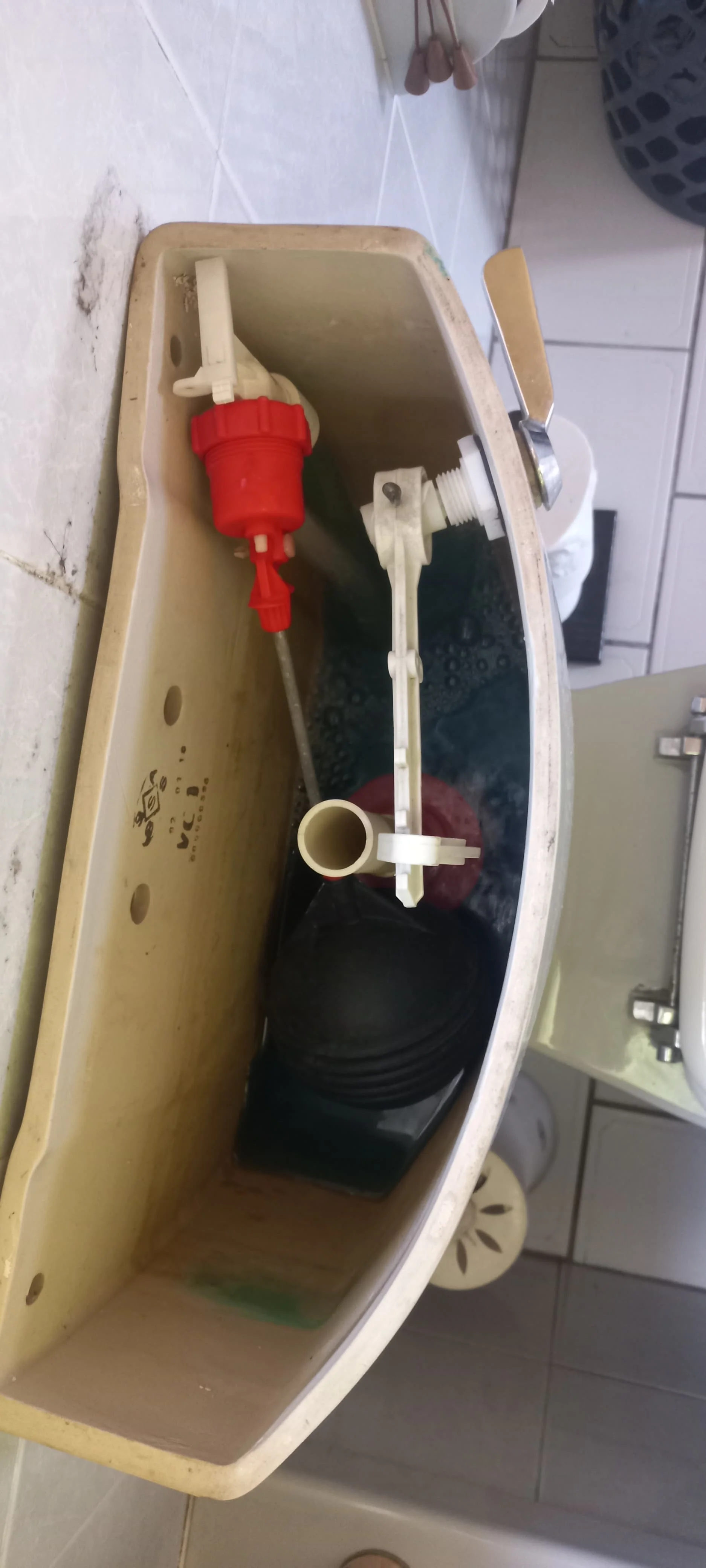 Professional leaking toilet work in Fontainebleau